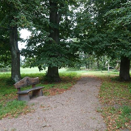 Fewo In Neustadt/Dosse, Der Stadt Der Pferde Leddin Bagian luar foto