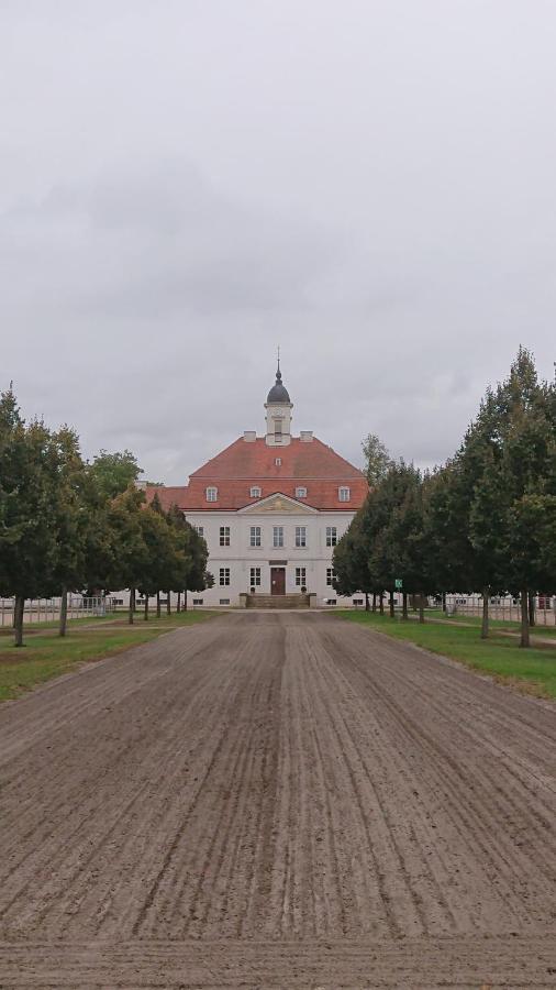 Fewo In Neustadt/Dosse, Der Stadt Der Pferde Leddin Bagian luar foto